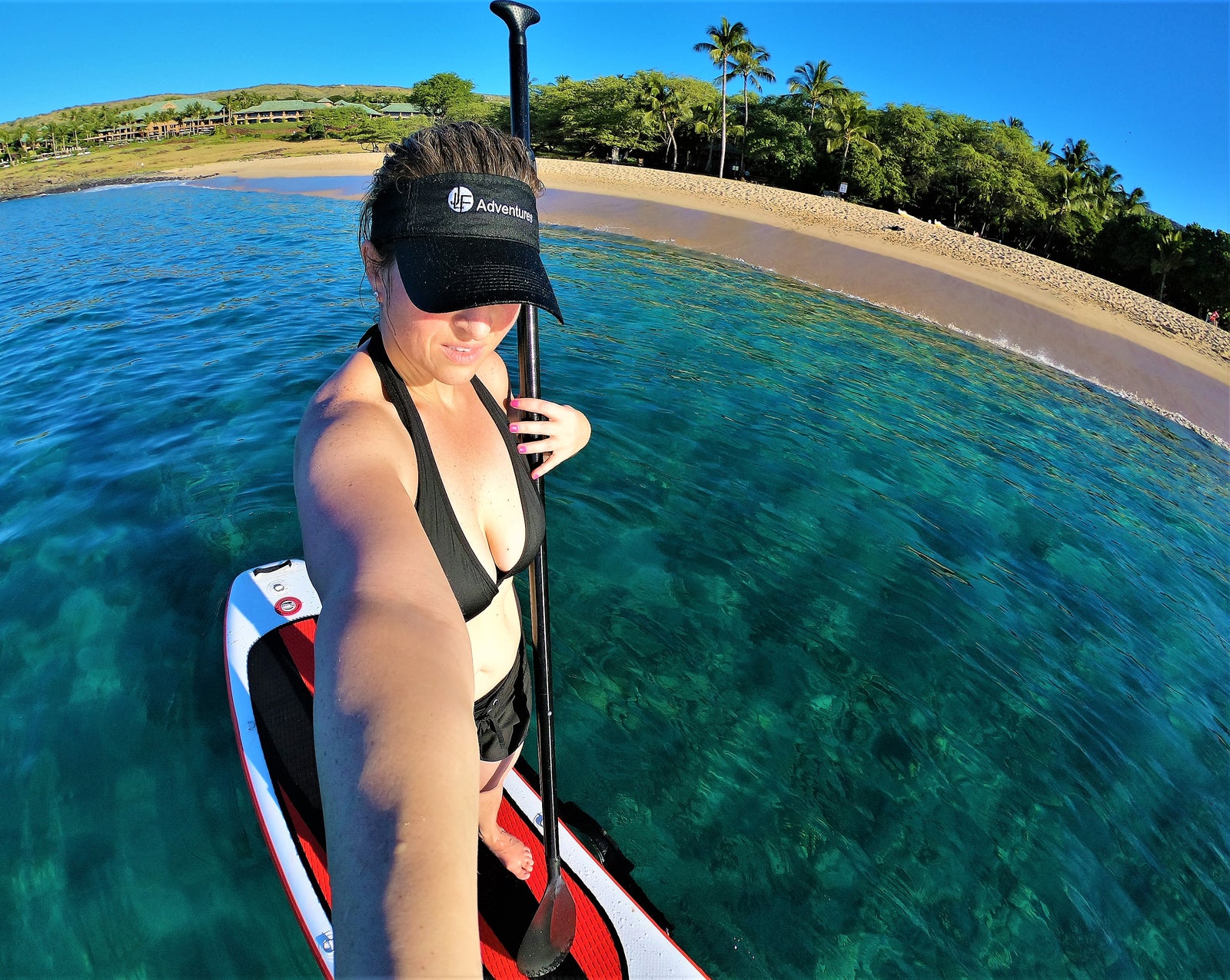 January 2019 - Trade Show Video